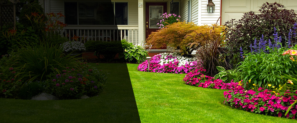 Jericho Landscapers