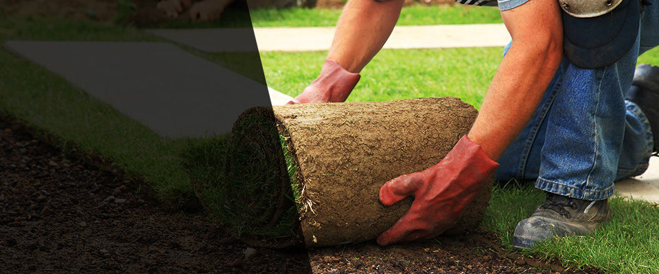 Jericho Landscapers